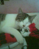 Ma Ptite Pouye